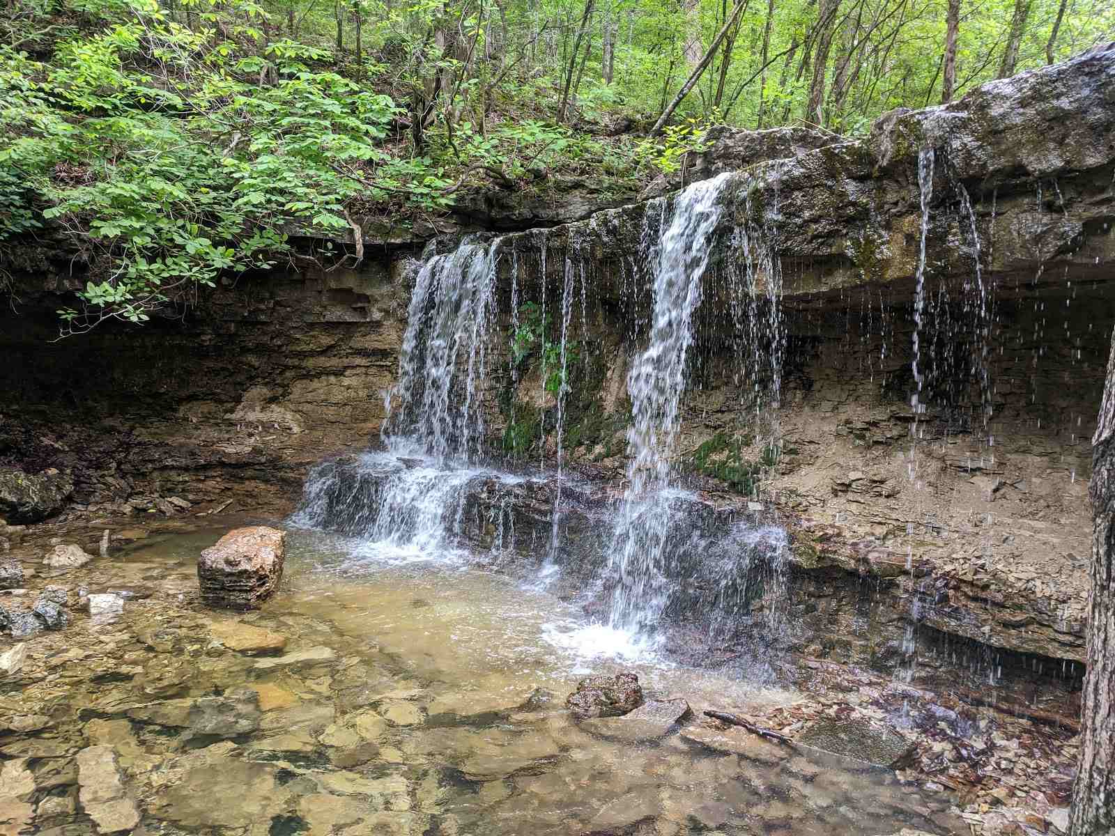 Ruth and Paul Henning Conservation Area