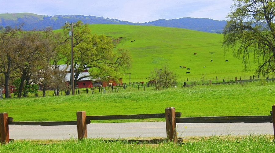 Coyote Lake – Harvey Bear Ranch County Park