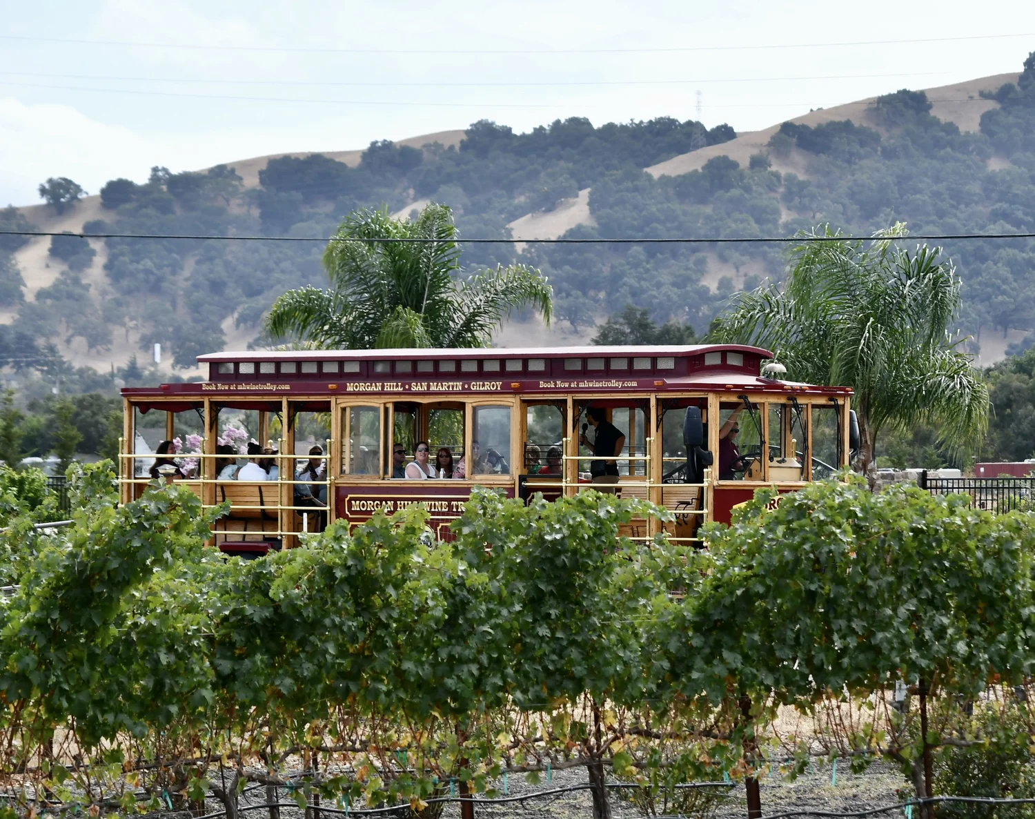 Visit Morgan Hill