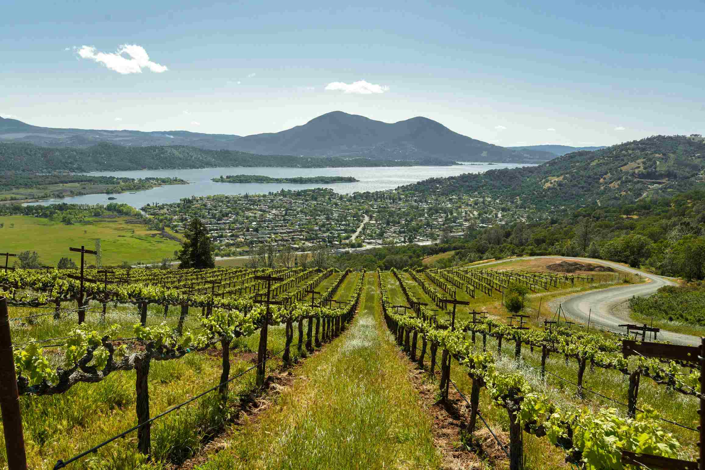 Santa Clara Valley Wine Tasting