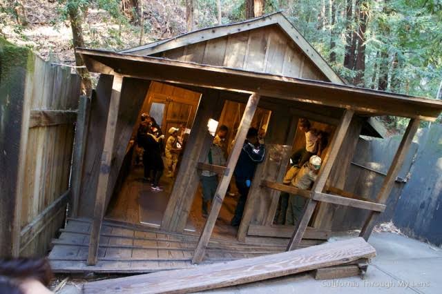 Santa Cruz Mystery Spot