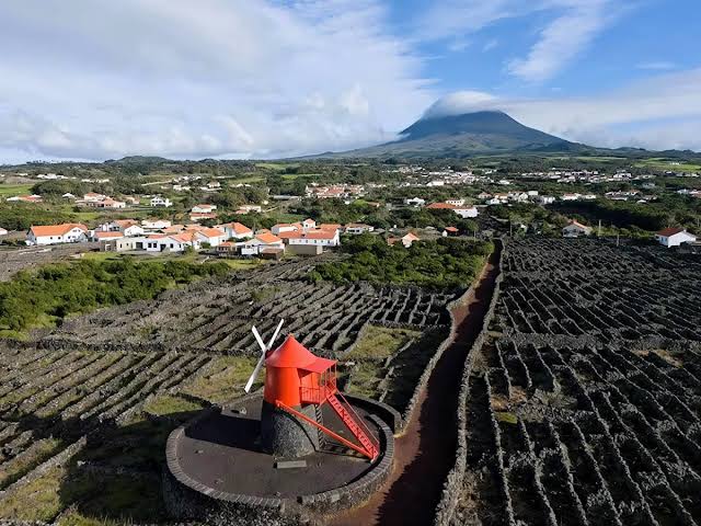 Pico Vineyard Hiking Trails