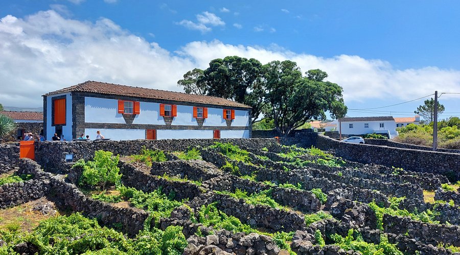 Pico Wine Museum